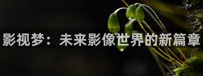 午夜理论免费观看片：影视梦：未来影像世界的新篇章