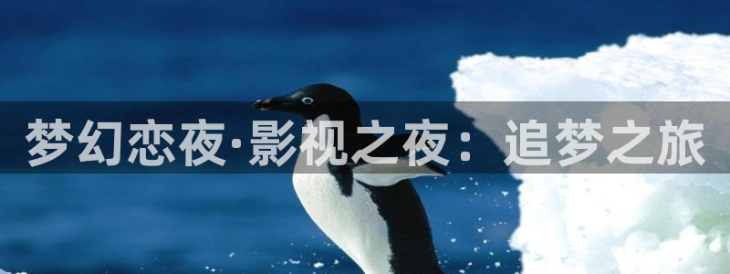 高清hd理论：梦幻恋夜·影视之夜：追梦之旅