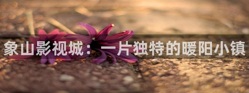 6090新视觉电影理论电视剧在线观看：象山影视城：一片独特的暖阳小镇
