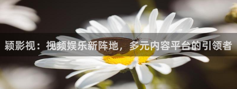 性理论电影在线：颖影视：视频娱乐新阵地，多元内容平台的引领者