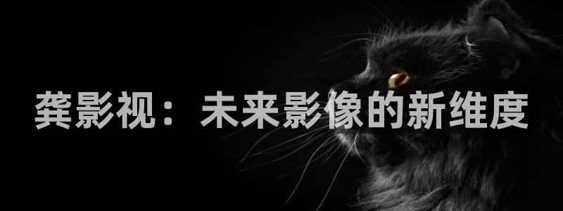 91理论电影网：龚影视：未来影像的新维度