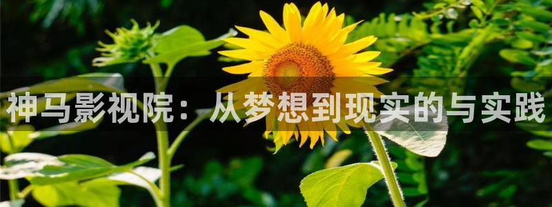 八戒理论电影网：神马影视院：从梦想到现实的与实践