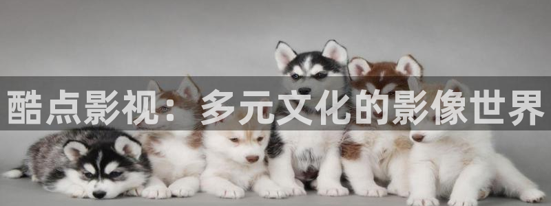 2345影视大全理论：酷点影视：多元文化的影像世界