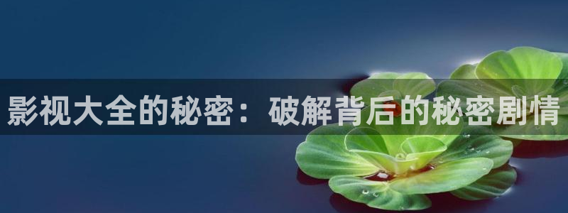 成人,电影理论网：影视大全的秘密：破解背后的秘密剧情