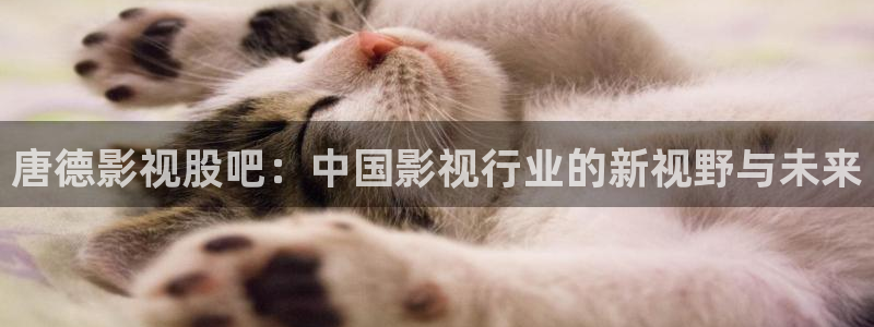 理论影视片：唐德影视股吧：中国影视行业的新视野与未来